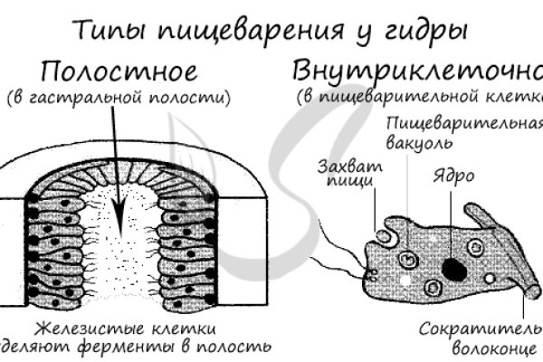 Dark net официальный сайт
