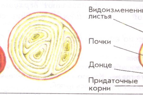 Кракен тор ссылка сегодня